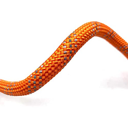 Heavy Duty Dog Leash with 1100LB Rated Locking Carabiner – 6FT Climbing-Inspired Reflective Rope Leash for Large & Medium Dogs that Pull – Padded Handle (Blaze Orange) - color: Blaze Orange