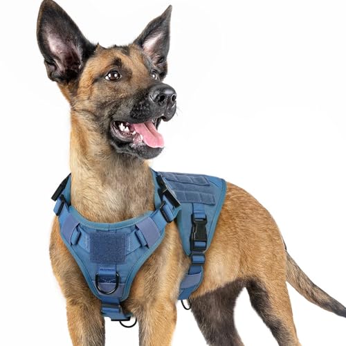 rabbitgoo Tactical Dog Harness for Small, Heavy Duty Pet Harness with Handle, No-Pull Service Vest Small Breed, Adjustable Military Dog Vest for Training Hunting Walking, Blue, S - color: Blue, size: Small