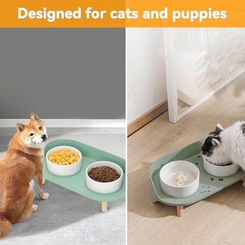 Elevated Dog Bowls Set, Ceramic Pet Food & Water Bowls with Non-Slip Stand, No Spill Design for Cats/Small Medium Dogs Green - color: Green