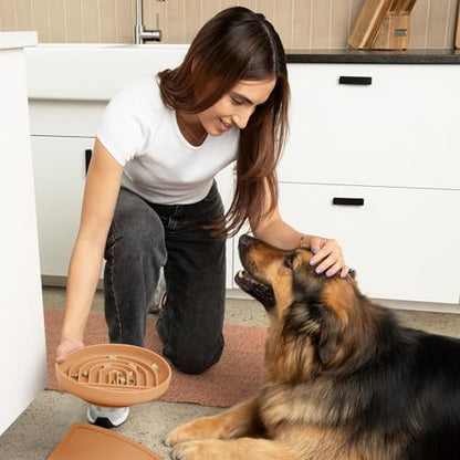 Should We Go? Slow Feeder for Dogs & Puppies, The Slowdown Bowl Silicone Slow Eating, Lick Mat Design, Reduces Gulping, Fits 2.5 Cups, 9.5” Across x 1.5” Tall, Mealtime Challenge, Large-Terracotta - color: Terracotta - Rainbow Design, size: Large (9.5” Ac