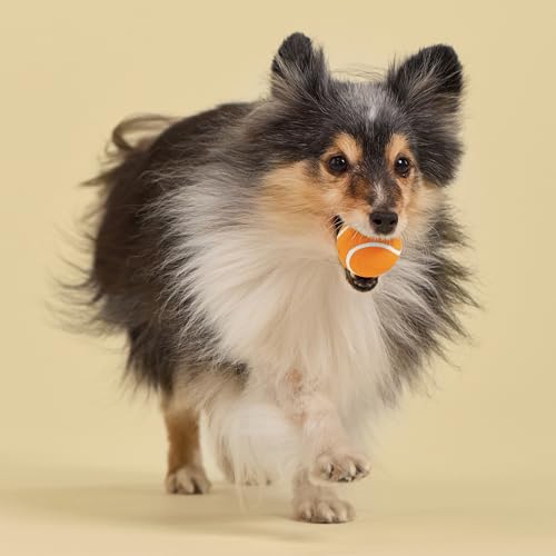 Playology Dog Toys | Squeaky Chew Ball - Bouncy Durable Floating Fetch Ball for Dogs , Value 3-Pack | Small Cheddar Cheese Scented Toy - Easy to Clean and Made from Non Toxic Materials - size: Small (VALUE 3-Pack), style: Cheddar Cheese