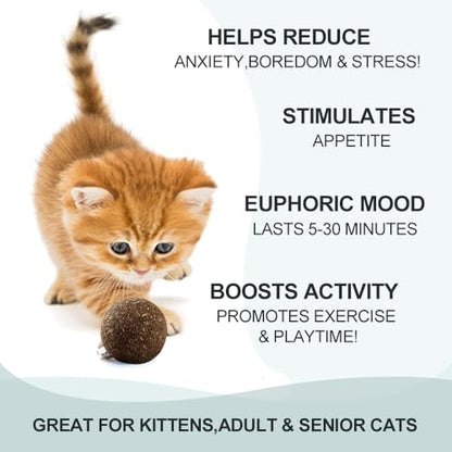 Natural Catnip Toys for Indoor Cats Interactive Cat Nip Balls, 5Pcs, 2 Catnip, 2 Silvervine, and 1 Gall Fruit Ball - size: 5 Pack, style: Catnip Ball