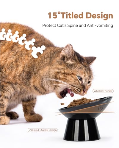 Detachable Slow Feeder Cat Bowl- Elevated Cats Feeder Tilted, 7 Inch Large Extra Wide Raised Cat Food Bowl Whisker Friendly, for Indoor Cats and Small Dogs Anti-Vomiting Black - color: Black