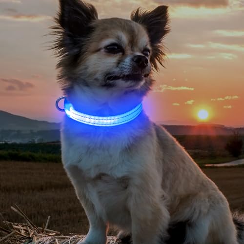 BSEEN Light Up Dog Collar, Rechargeable LED Dog Collar Reflective Glowing Pet Collar for Puppies & Cats, Safety Dog Lights for Night Walking (Blue) - color: Blue