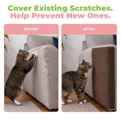 Best Pet Supplies Catify Cat Scratcher, Fun Interactive Scratchers, Posts, Poles, Claw Safe, Furniture Saver Indoor Play Support Natural Cat Behaviors Heavy Duty - Brown, 39.4 x 15.8 - color: Brown Mat - 39.4 x 15.8"
