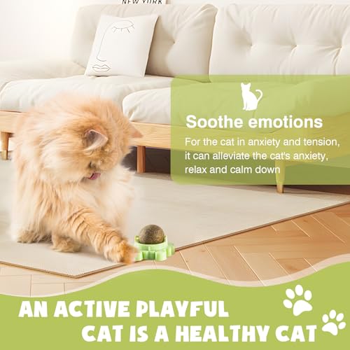 4 Pack Catnip Balls Wall Mounted - Organic Edible Catnip Toy for Cats, 360° Rotatable Interactive Chew Indoor Cat Toy
