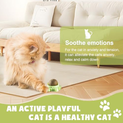 4 Pack Catnip Balls Wall Mounted - Organic Edible Catnip Toy for Cats, 360° Rotatable Interactive Chew Indoor Cat Toy
