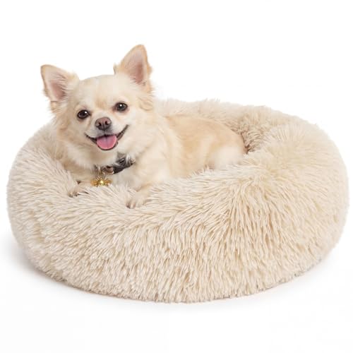 Calming Donut Dogs Beds for Small Dogs Washable,19inch Fluffy Round Puppy Bed for Puppies,Cats & Toy Breeds with Raised Rim,Fits up to 15 lbs Pets,Beige - color: Beige, size: 19 inches