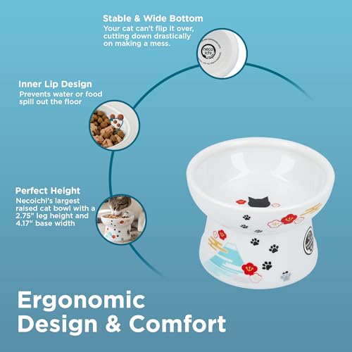 Necoichi Raised Cat Food Bowl – Ceramic Elevated Cat Bowl for Whisker & Neck Fatigue, Dishwasher Microwave Safe – Non-Slip & Anti Vomiting Ergonomic Design (Fuji, Regular, 1-Cup Capacity) - color: Fuji, size: Small Flat (1 Cup)