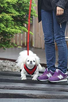 Puppia Soft Dog Harness No Choke Over-The-Head Triple Layered Breathable Mesh Adjustable Chest Belt and Quick-Release Buckle, Brown, Large - color: Brown, size: Large