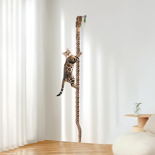 2" x 9.84Ft Cat Climbing Rope with Hook for Ceiling & Wall Mounted, Natural Sisal Rope for Cat Scratcher with Feather Toy for Indoor/Outdoor Cats, Durable Cat Tree Replacement Rope