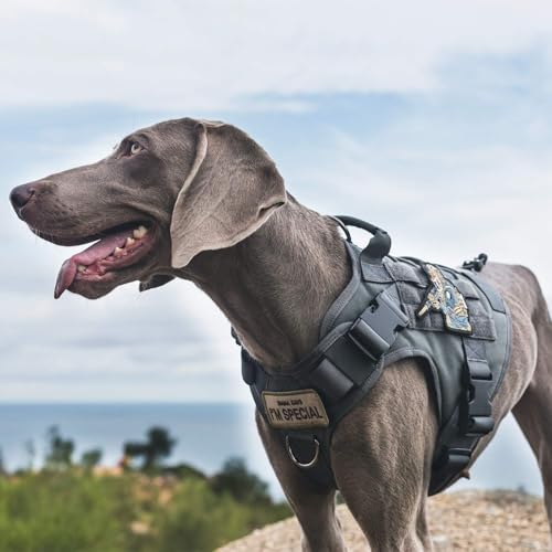 OneTigris Tactical Dog Harness Vest,No-Pull Service Dog Vest with Hook & Loop Panels,Adjustable Dog Vest Harness for Walking Hiking Training(Grey,XS) - color: Grey, size: XS