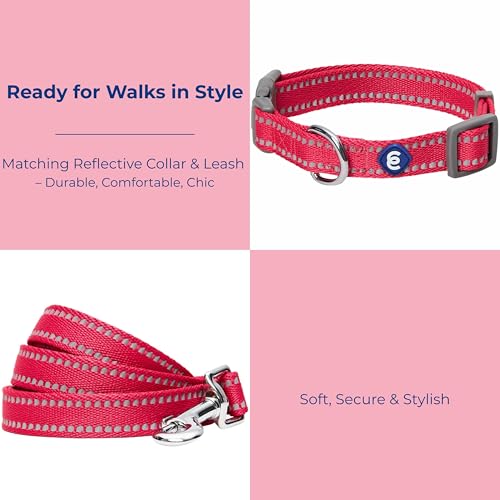 Blueberry Pet Essentials Matching Dog Collar & Leash Set | Pastel Reflective Adjustable Collar with 5 ft Lead for Medium Dogs, Very Berry - color: Very Berry, size: Medium