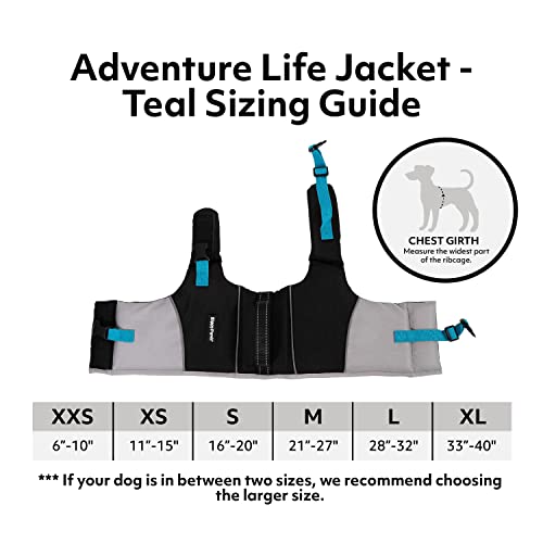 ZippyPaws Adventure Dog Life Jacket - Dog Life Vest for Swimming & Boating, Fits Small Pets, Lightweight Dog Flotation Device for Water Safety, Padded Handle, Adjustable Fit, 21-27" - Medium, Teal