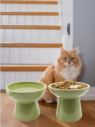 LoeJan Elevated Green Cat Bowls Set - Wide Raised Ceramic Feeder, Anti-Vomit Whisker-Free Bowl for Kittens to Adult Cats - color: Green, size: Single (Food Bowl)
