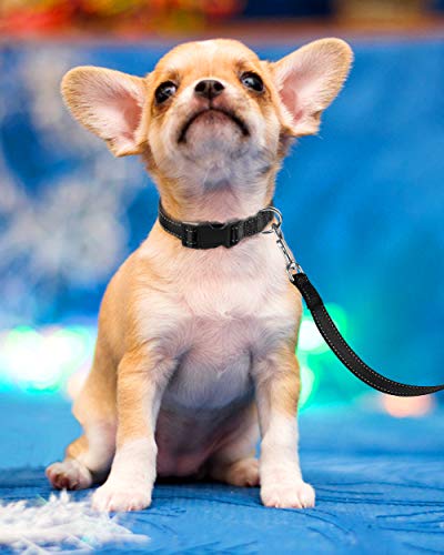 Reflective Dog Collar, Sturdy Nylon Collars for Puppy and Extra Small Girl and Boy Dogs, Adjustable Dog Collar with Quick Release Buckle,Black,5/8" Width - color: Black, size: X-Small Plus (Pack of 1)