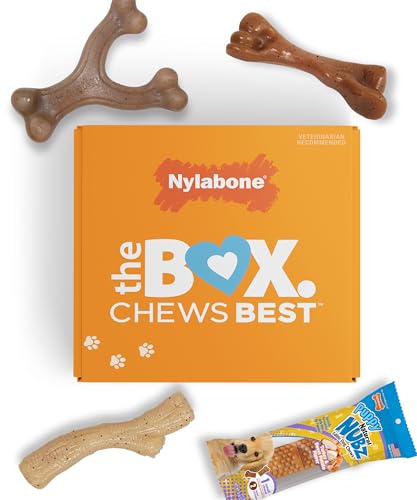 Nylabone Puppy Gift Box, Includes 3 Strong Puppy Chew Toys and 1 Natural Treat Bone for Puppies, Gifts for Puppies, Small Dogs - Up to 25 lbs., 4 Pack - size: Puppy (4 Count)