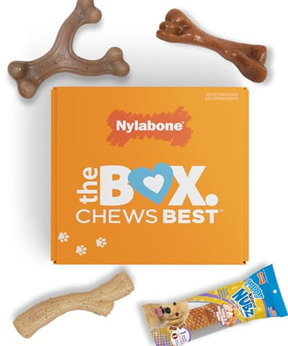 Nylabone Puppy Gift Box, Includes 3 Strong Puppy Chew Toys and 1 Natural Treat Bone for Puppies, Gifts for Puppies, Small Dogs - Up to 25 lbs., 4 Pack - size: Puppy (4 Count)