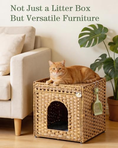 SETVSON Cat Litter Box Enclosure Furniture, Hidden Litter Box with Mat and Fence, Handwoven Rattan Cat House with Two S-Shaped Hooks for Living Room, Bedroom, 18.5 x 20.5 x 19.1 Inches (Natural) - color: Natural, size: Standard