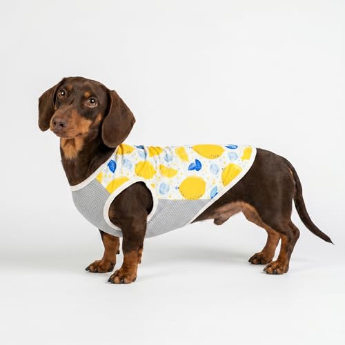 Fitwarm 2 Pack Ice Lemon UPF 50+ UV Sun Protection Dog Shirt, Lightweight Dog Cooling Vest, Quick Dry Summer Clothes for Small Dogs Boy Girl, Pet Outfit, Blue, Yellow, White, XS - color: Ice & Lemon, size: X-Small