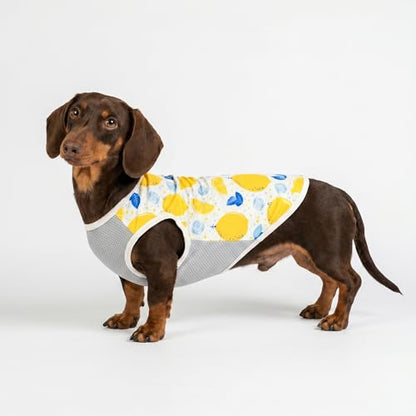 Fitwarm 2 Pack Ice Lemon UPF 50+ UV Sun Protection Dog Shirt, Lightweight Dog Cooling Vest, Quick Dry Summer Clothes for Small Dogs Boy Girl, Pet Outfit, Blue, Yellow, White, XS - color: Ice & Lemon, size: X-Small