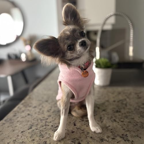JACKO & CO - Fleece Vest Dog Sweater with Leash Ring - Soft, Warm & Lightweight Pullover Coat for Small & Medium Dogs, Puppies & Cats - Cozy Fall/Winter/Spring Pet Jacket (Pink Lemonade, XS 2-4lbs) - color: Pink Lemonade, size: XS (2-4lbs)