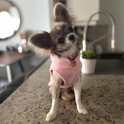 JACKO & CO - Fleece Vest Dog Sweater with Leash Ring - Soft, Warm & Lightweight Pullover Coat for Small & Medium Dogs, Puppies & Cats - Cozy Fall/Winter/Spring Pet Jacket (Pink Lemonade, XS 2-4lbs) - color: Pink Lemonade, size: XS (2-4lbs)