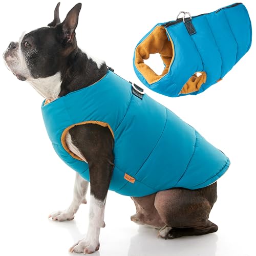 Gooby Padded Vest Dog Jacket - Solid Turquoise, X-Small - Warm Zip Up Vest Fleece Jacket with Dual D Ring Leash Water Resistant for Small to Medium Dogs - color: Turquoise Solid, size: X-Small