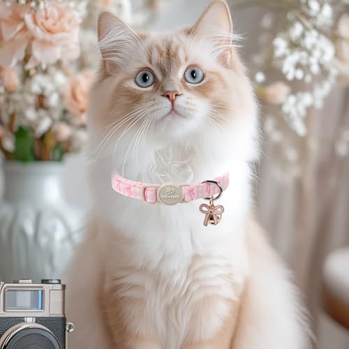 2 Pack Pink Cat Collars - Cute Bow & Daisy Breakaway Cat Collar with Bell & Matching Pendant, Soft Adjustable Spring Summer Girly Kitten Collars for Girl Cats - color: Pink Bow&Daisy