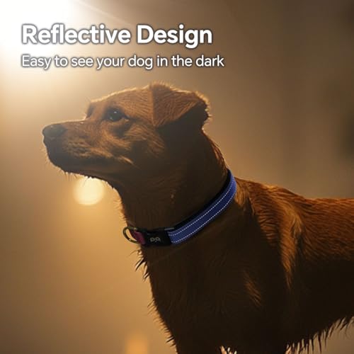 QQPETS Reflective Dog Collar with Soft Neoprene Padded Breathable Nylon Pet Collar Adjustable for Small Medium Large Dogs - color: Blue Pink, size: S