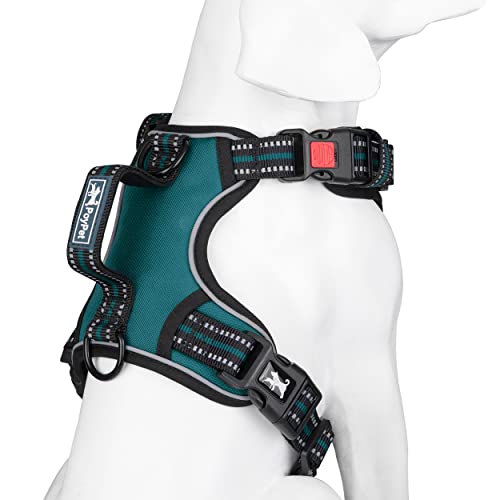 PoyPet No Pull Dog Harness, No Choke Front Clip Reflective Dog Vest with Soft Padded Vertical Handle, 3 Leash Attachments for Small Medium Large Dogs (Tumalo Teal,XL) - color: Tumalo Teal, size: Extra Large