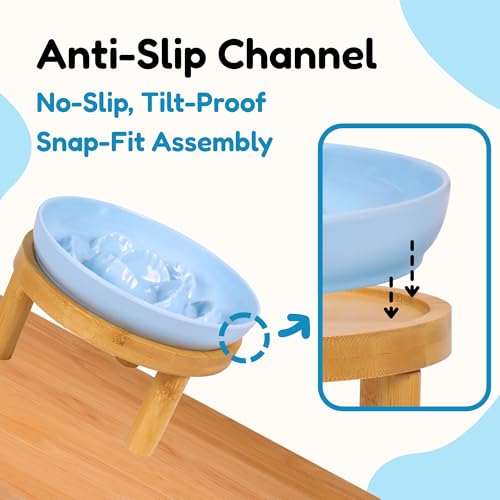 Slow Feeder Bowl, 6.3″ Elevated Cat Bowl with Stand, Melamine Wide Shallow Food Bowl, Whisker-Friendly Raised Plate, Wet Food Feeder for Slow Eating (Blue) - color: Blue, size: 1 Pack with Stand - 6.3''W x 1.5''H