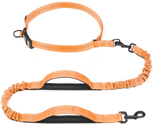 iYoShop Retractable Hands Free Dog Leash - Dual Handle Bungee Waist Leash for Small, Medium and Large Dogs (Medium/Large, 25-150 lbs, Orange) - color: Orange, size: Medium/Large