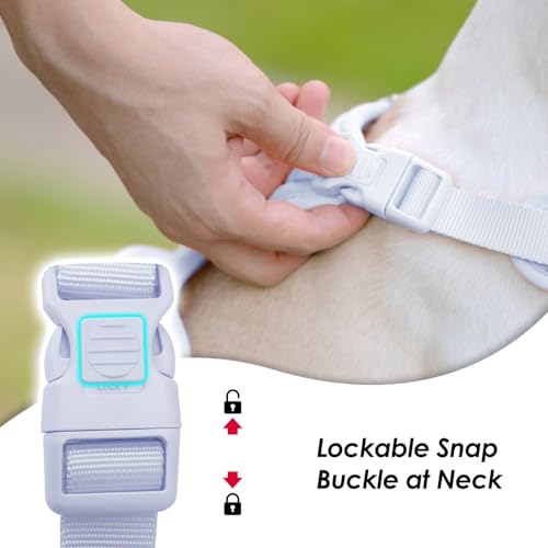 No Pull Dog Harness, Puppy Vest with Front Clip for Small Medium Large Sized Dog(Light Blue,XL) - color: Light Blue, size: XL(Neck:24.8-38.6", Chest:29.1-45.3")