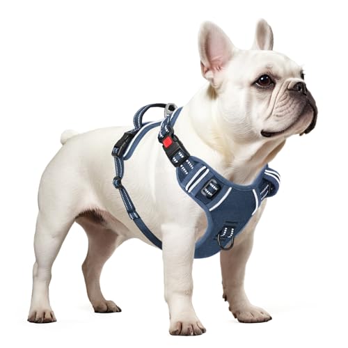 Dog Harness Small Sized, No Pull Pet Harness with Neck Lockable Snap,No Choke Front Clip Dog Reflective Vest,Adjustable Metal Rings 3 Buckles,Easy Control Handle for Small Dogs Royal Blue S - color: Lock Royal Blue, size: Small (Pack of 1)