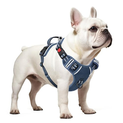 Dog Harness Small Sized, No Pull Pet Harness with Neck Lockable Snap,No Choke Front Clip Dog Reflective Vest,Adjustable Metal Rings 3 Buckles,Easy Control Handle for Small Dogs Royal Blue S - color: Lock Royal Blue, size: Small (Pack of 1)