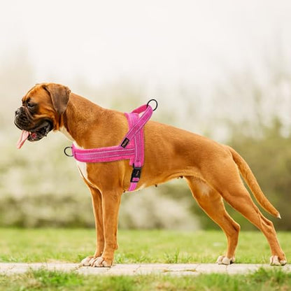 Didog Soft Flannel Padded Dog Vest Harness, No Pull/Quick Fit Reflective Dog Strap Harness, Easy for Training Walking (S:Chest 18-22", Hot Pink) - color: Hot Pink, size: S:chest 18-22"