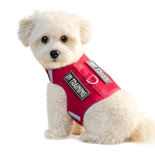 Dog Harness for Puppy – Adjustable Reflective Easy Put On Soft Mesh Vest for Small Dogs with 2 Patches (Burgundy Red,XS) - color: Burgundy Red, size: XS(Neck:8.6-11.3",Chest:11.7-15.2")