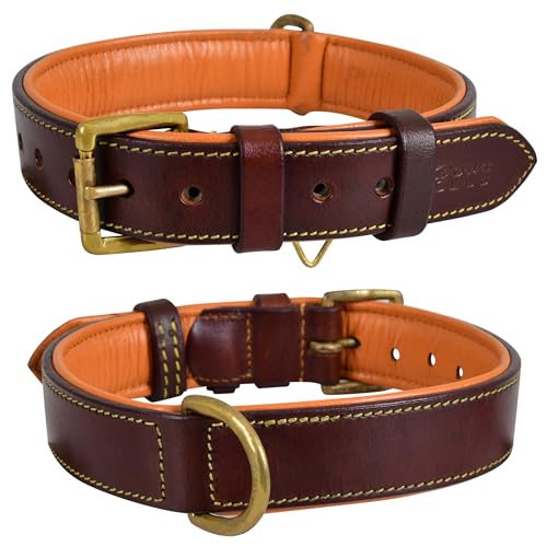 Genuine Leather Dog Collar – 1" Wide Full Grain, Padded, Heavy Duty with Brass Buckle for Small, Medium, Large, XL Dogs (Medium (Fit Neck Size 14.5"-18.5"), Brown) - color: Brown, size: M (Fit Neck Size 14.5"-18.5")