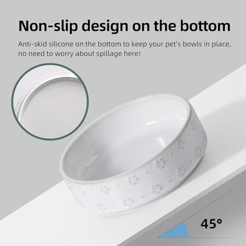 Havniva Cat Food Bowl, 6.1" Raised Cat Bowls with Acacia Wood Stand, Elevated Cat Bowls Ceramic Pet Food & Water Bowl Set, Extra Wide Whisker Friendly Elegant Pet Bowls for Kitten, Cats, Puppy - color: 2 Bowls+Stand- Arctic White