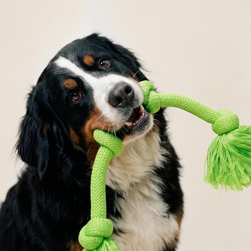 Playology Dog Toys | Dri-Tech Rope Tug of War Dog Toy for Tough Chewers | Sweet Potato Scented Mega Size Tug Rope Toys for Extra Large Dogs - size: Mega, style: Sweet Potato