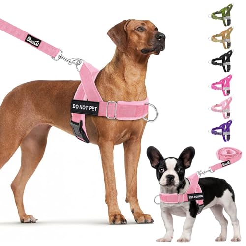 Lukovee No Pull Dog Harness and Leash Set - Heavy Duty Dog Vest with Soft Velvet Padding for Medium Large Dogs, Adjustable Reflective Tactical Harness with 2 Control Handles & Front Clip (S, PI) - color: Pink, size: Small