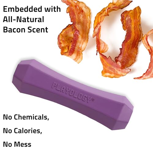 Playology Dog Toys | Squeaky Chew Stick for Dogs, Value 2-Pack | Bacon Scented Medium Fetch Toy | Squeaky Dog Chew Toys - size: Medium (VALUE 2-Pack), style: Bacon
