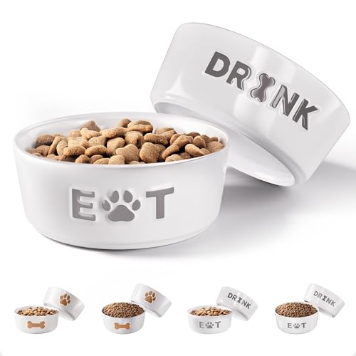 Ceramic Dog Bowl Set of 2 with Anti-Skid Base - 5" Wide x 2" Tall Ceramic Dog Bowls for Small Dogs - 2 Cup Capacity Food and Water Bowls for Dogs - Rubber Bottom Pet Bowl Set of 2 for Small Pets - color: Gray, size: Small
