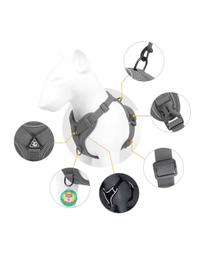 Reflective Adjustable Dog Harness with Leash Breathable No-Pull Pet Vest for Walking and Training DJA702-04XL - color: Grey, size: X-Large