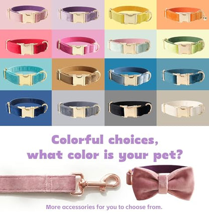 Dog Collar Personalized with Name Engraved - Light Gold Quick Release Buckle, Soft Velvet Lined, Comfortable Gift for Small, Medium, Large Dogs - color: Multicolor Velvet