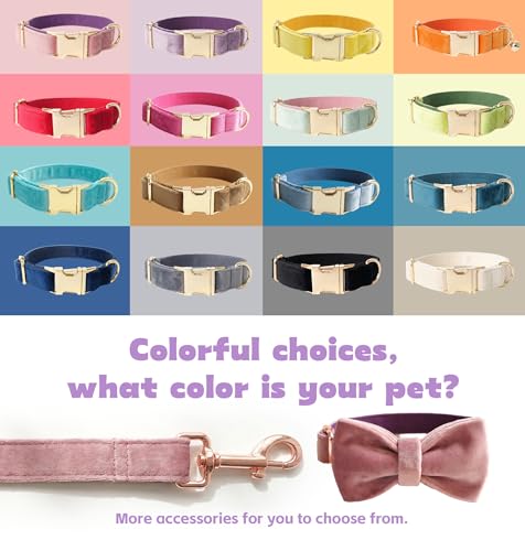 Dog Collar Personalized with Name Engraved - Light Gold Quick Release Buckle, Soft Velvet Lined, Comfortable Gift for Small, Medium, Large Dogs - color: Multicolor Velvet
