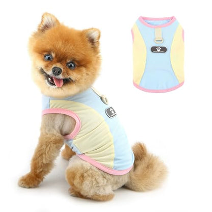 PAIDEFUL Summer Cooling Dog Shirt for Small Dogs Breathable Mesh Pet T-Shirts UV Sun Protection Puppy Vest Soft Lightweight Doggie Tank Top Fashion Chihuahua Tee Clothes Cat Apparel D-Ring,Blue,XXL - color: blue, size: XXL