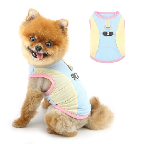 PAIDEFUL Summer Cooling Dog Shirt for Small Dogs Breathable Mesh Pet T-Shirts UV Sun Protection Puppy Vest Soft Lightweight Doggie Tank Top Fashion Chihuahua Tee Clothes Cat Apparel D-Ring,Blue,M - color: blue, size: M