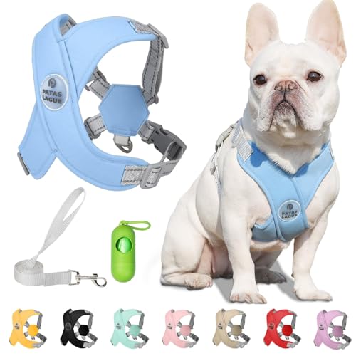 Dog Harness with Leash Set Adjustable Soft Padded Step-in Dog Vest No Choke No Pull Reflective for Small Medium Pets with Poop Bags and Dispenser, Solid and No-chew, Blue M - color: Blue, size: M (Neck 19.3-23.3'' Chest 22.5-25.6'')
